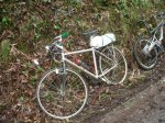 bici..jpg