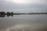 Image00021..jpg