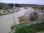 28022010_002..jpg