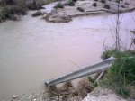 28022010_001..jpg