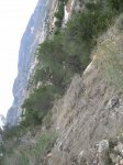 100_9313..jpg