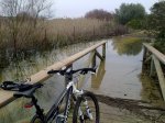 RUTA 2010-06-003..jpg