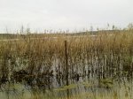 RUTA 2010-06-001..jpg