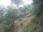 DSC07312..jpg