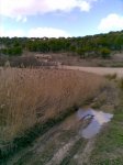 28022010(009)..jpg