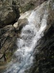 IMG_2754..jpg
