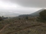 280220101102..jpg