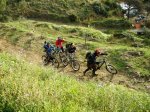 100218 Flotox - KD&.JPG