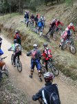 100218 Flotox - KD&.JPG