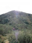 100218 Flotox - KD&.JPG