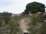 P2280058 (Medium)..JPG