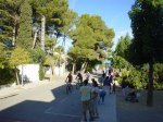 DSC00321.JPG