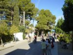 DSC00323.JPG