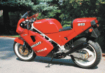 moj4-duc-851-1.gif