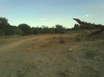 Imagen045.jpg