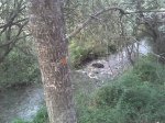 Imagen049.jpg