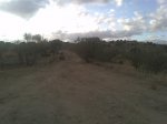 Imagen054.jpg