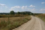 S3600045.JPG