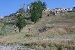 S3600052.JPG