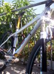 bicilapierre003.jpg