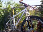 bicilapierre002.jpg