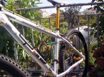 bicilapierre009.jpg