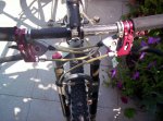 bicilapierre006.jpg