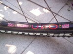 bicilapierre004.jpg