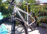 bicilapierre007.jpg