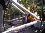 bicilapierre010.jpg