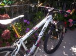 bicilapierre005.jpg
