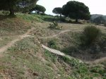 CHIKI-PARC Â´ 10 006.jpg