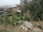 CHIKI-PARC Â´ 10 004.jpg