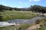 DSC01155_foro..JPG