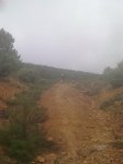Imagen0207.jpg