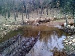 Imagen0208.jpg