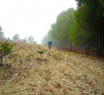 La Torreta 1..jpg