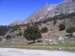 DSC00745..JPG
