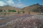 aigua..jpg