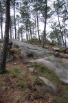 DSC_6744..jpg