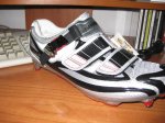 IMG_1025..jpg