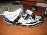 IMG_1023..jpg