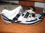 IMG_1026..jpg