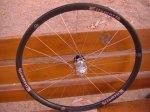 CIMG2633 (Medium)..JPG