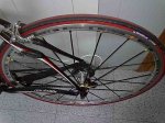 Imagen0019..jpg