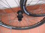 specialized2..jpg