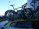 saxo..jpg