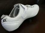 P1050255..jpg