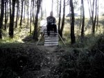 gerardpala copia..jpg