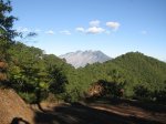 IMG_4060 [Desktop .jpg